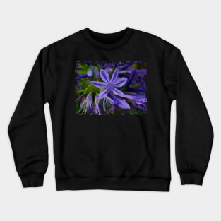 Agapanthus Flowers Crewneck Sweatshirt